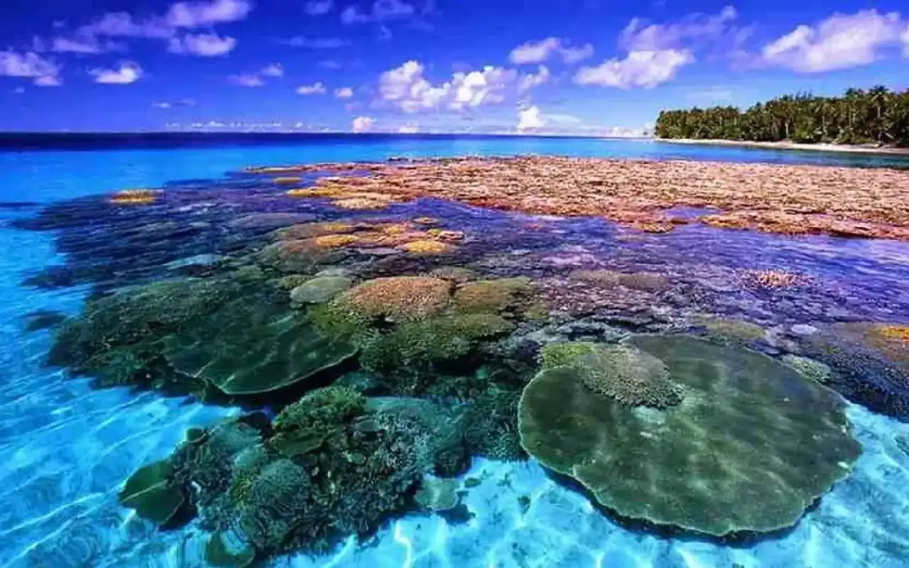 bunaken_underwater_01